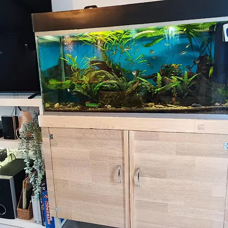 Διαμέρισμα Kima Apartmans